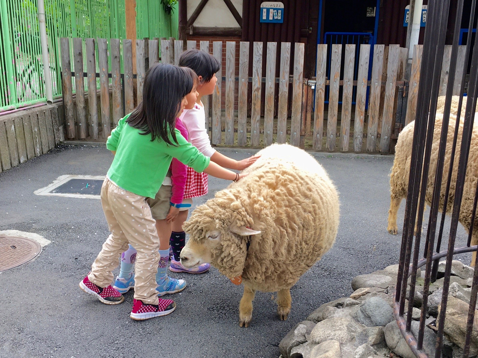 🐐 이타바시 어린이 동물원(이타바시 코도모 도부츠엔) 이미지 9